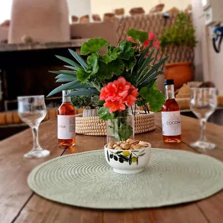 Vakantiehuis Seva House *
